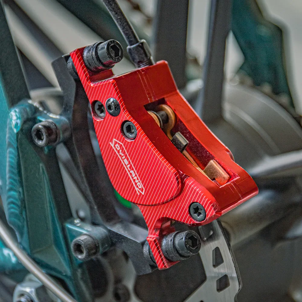 Fiido M1 Pro Electric Bike view 5