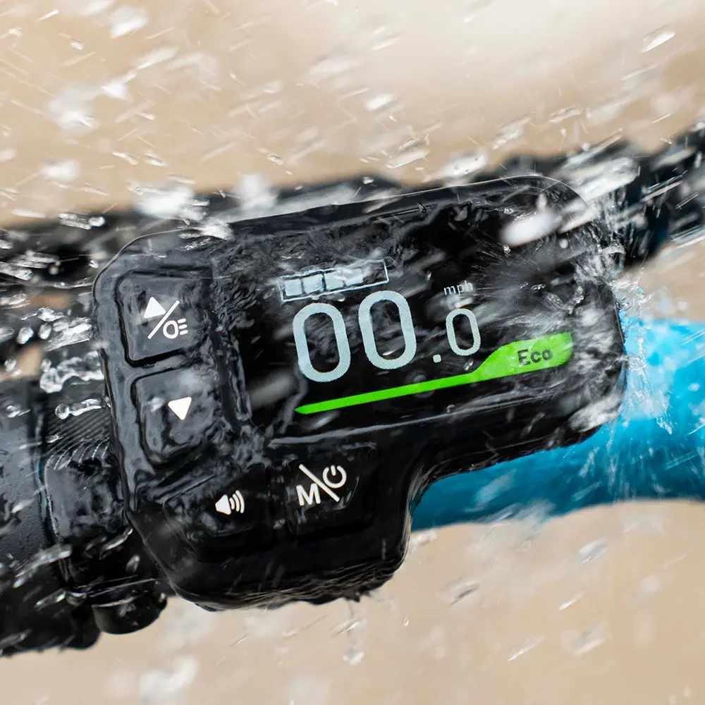 Fiido M1 Pro Electric Bike view 3