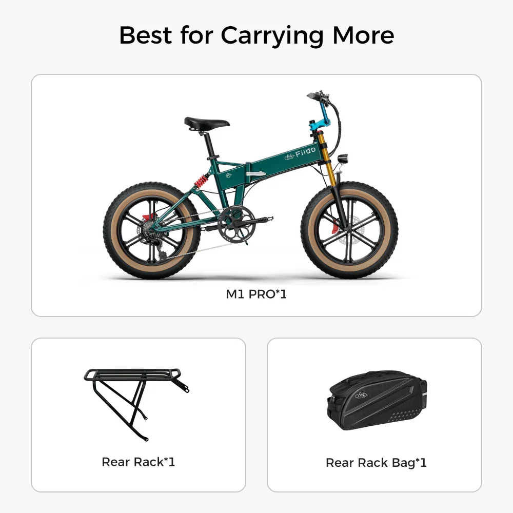 Fiido M1 Pro Electric Bike view 8