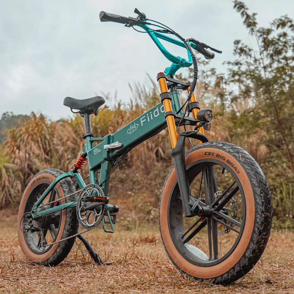 Fiido M1 Pro Electric Bike view 4