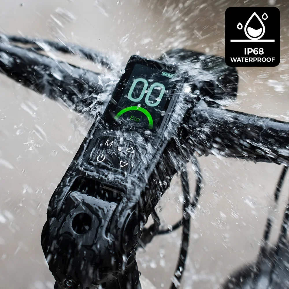 Fiido Nomads Electric Bike view 3