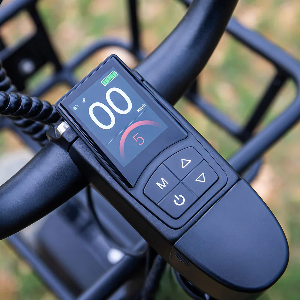 Fiido T1 Pro Electric Bike view 4
