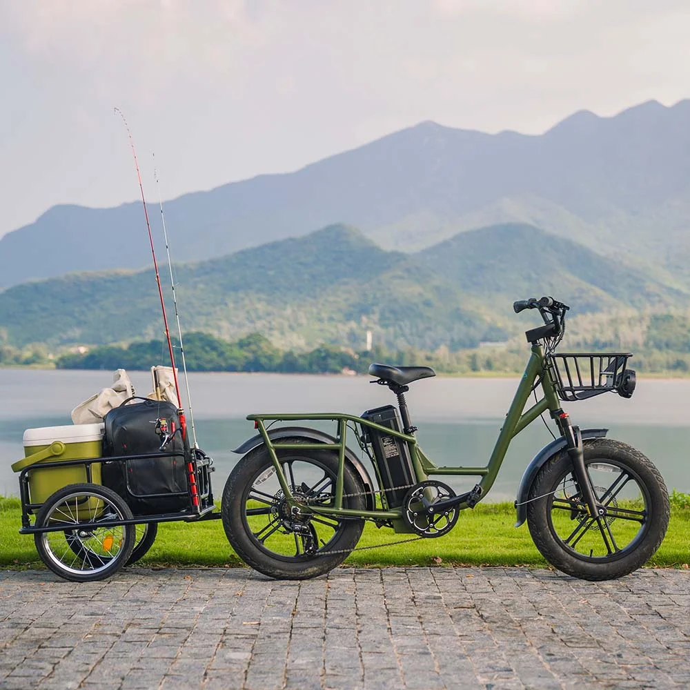 Fiido T1 Pro Electric Bike view 2