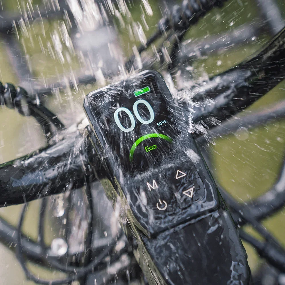 Fiido Titan Electric Bike view 3