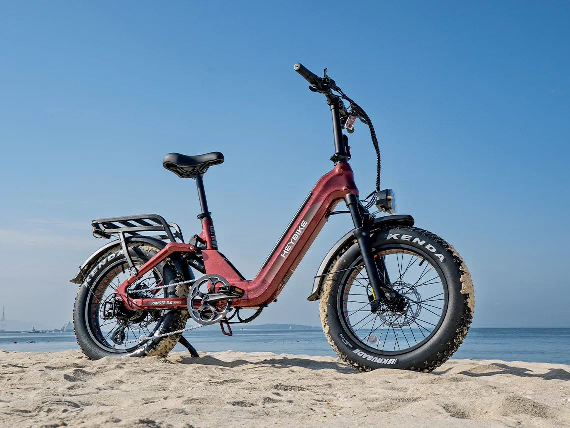 Heybike Ranger 3.0 Pro Combo view 2