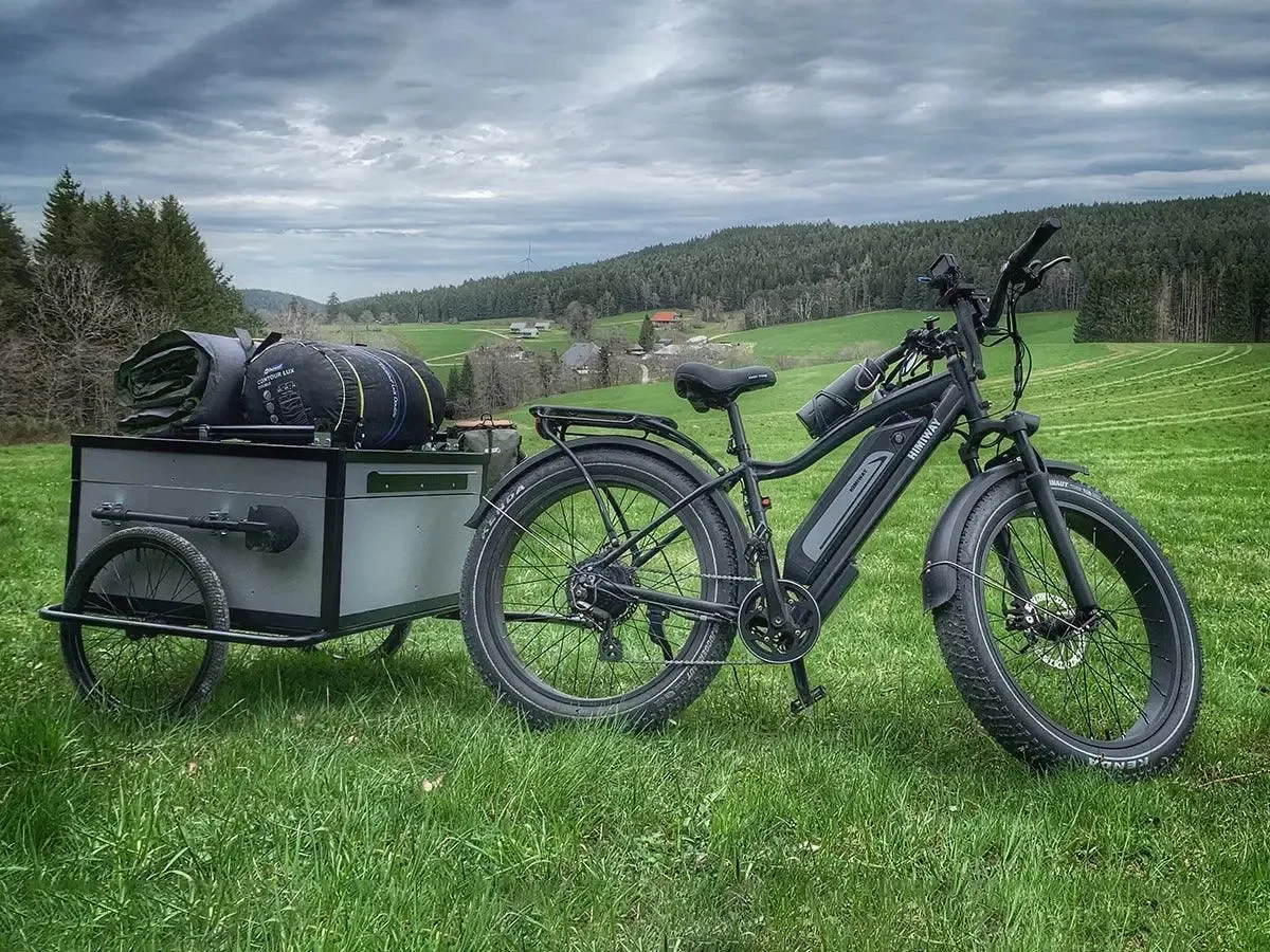 Himiway D3 (Cruiser) Long Range Fat Tire Electric Bike view 8