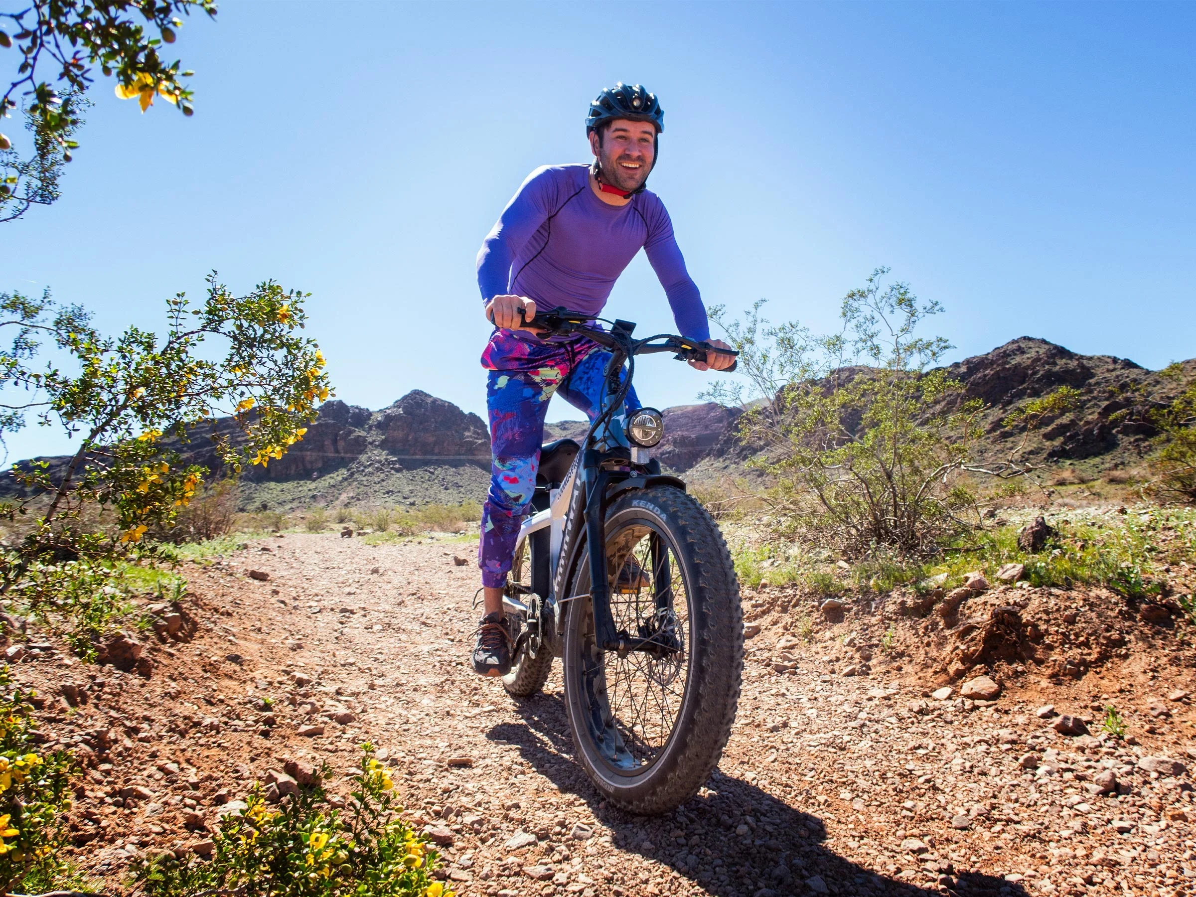 Himiway D5 Pro All-terrain Electric Fat Bike view 4