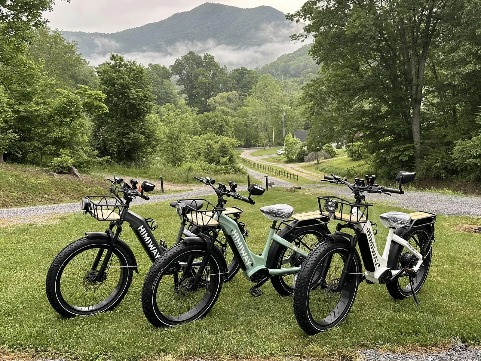 Himiway D5 ST (Zebra ST) All-terrain Electric Fat Bike view 5