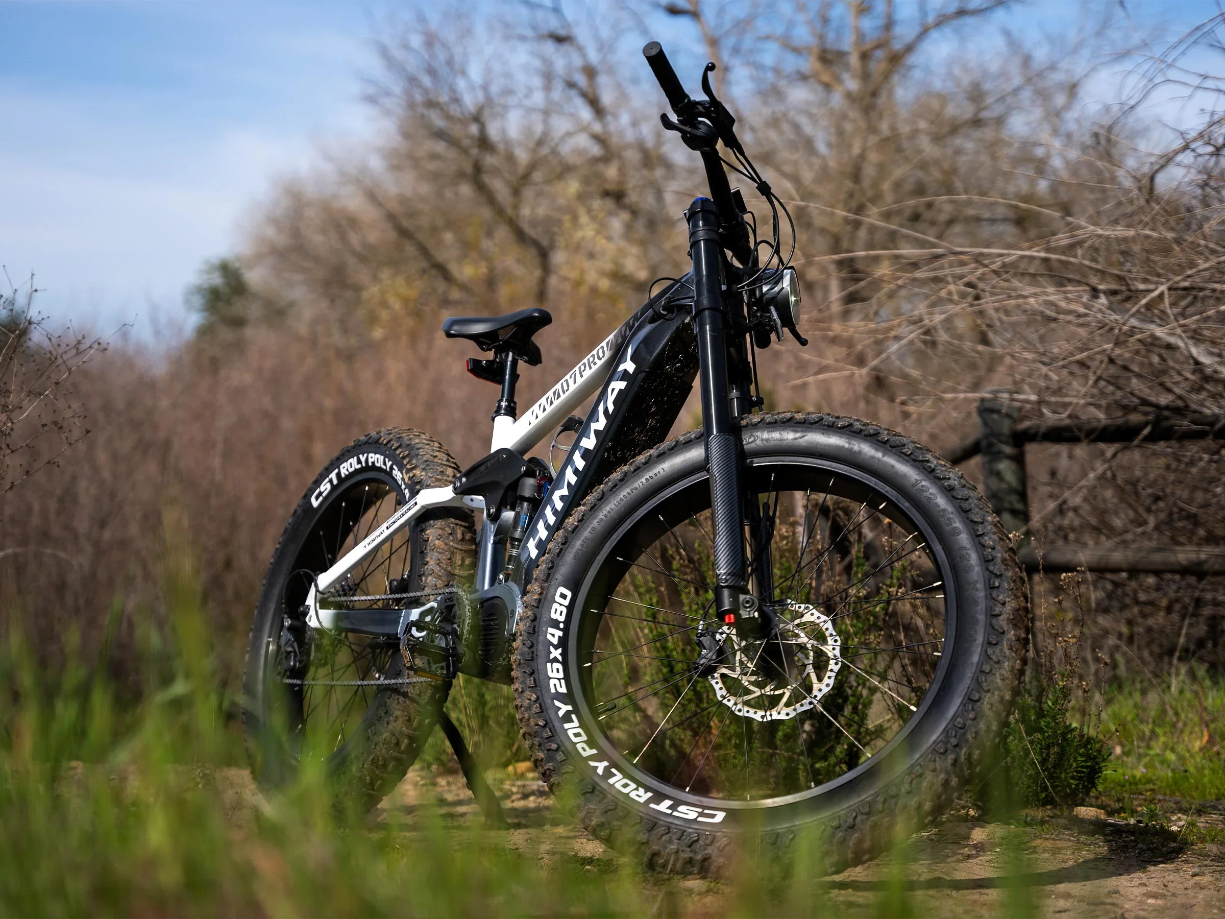 Himiway D7 Pro Mountain Electric Bike view 3
